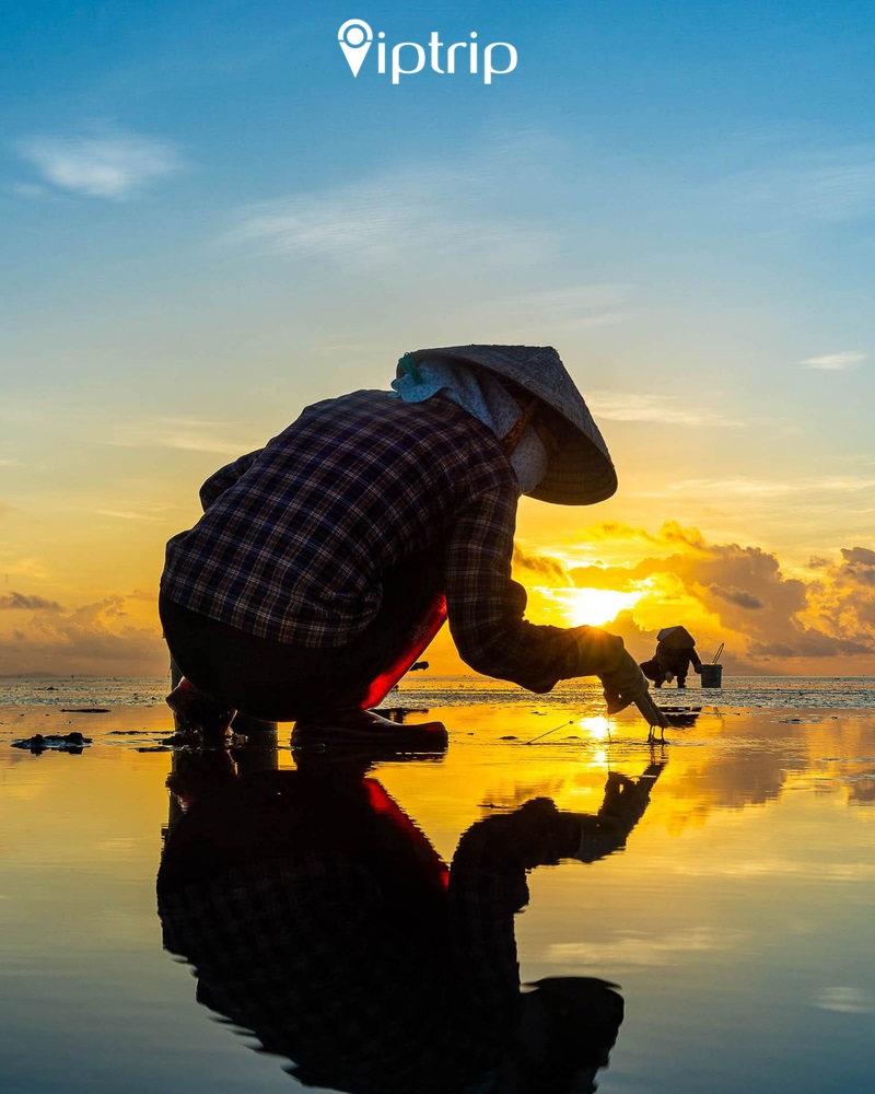 bai-bien-vo-cuc-thai-binh