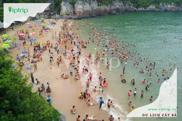 Bãi tắm Cát Cò Cát Bà