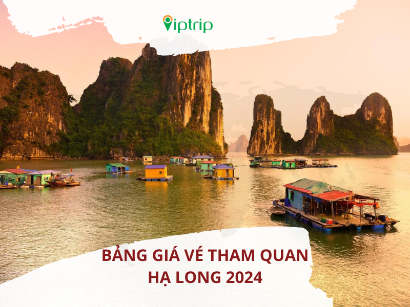 bang-gia-ve-tham-quan-ha-long