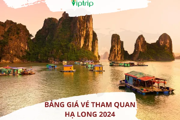 Cập nhật giá vé tham quan Hạ Long 2024 mới nhất