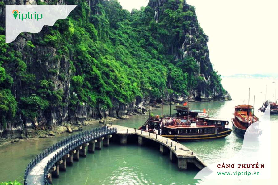 cang-thuyen-cau-tau-ha-long