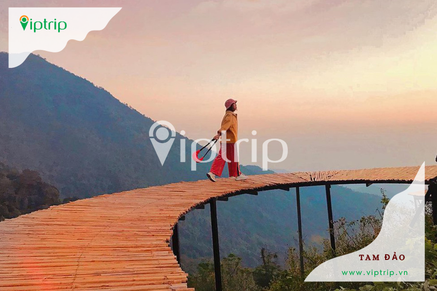 cau-may-tam-dao-viptrip