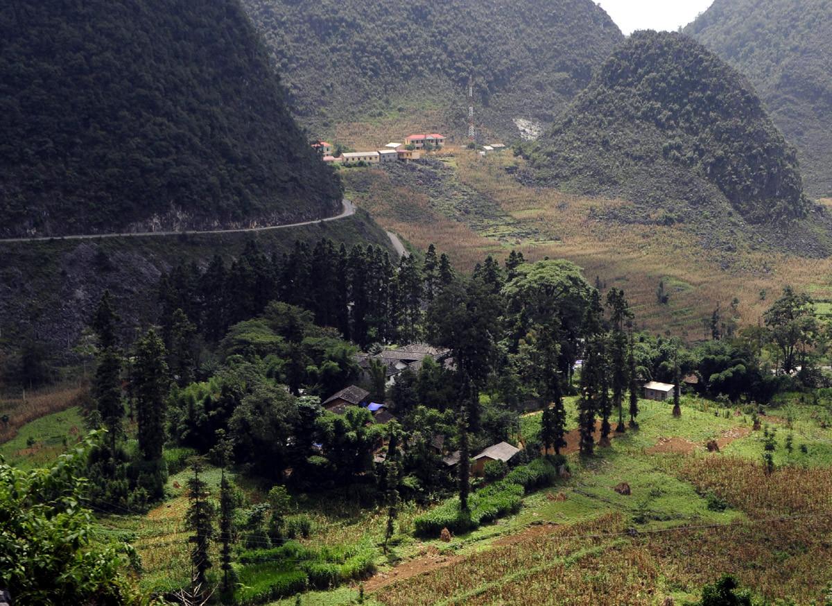 dinh-nha-vuong-co-gi