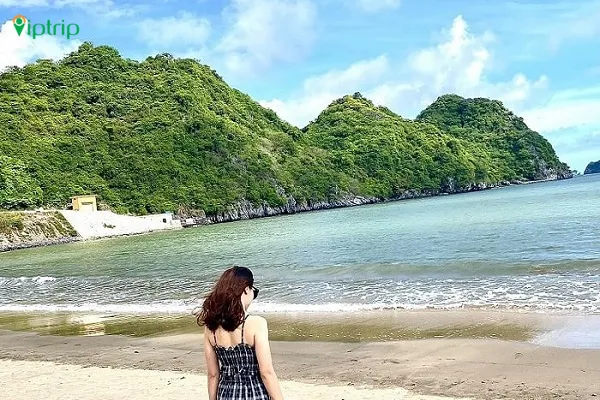 Kinh nghiệm du lịch Cát bà cho người mới