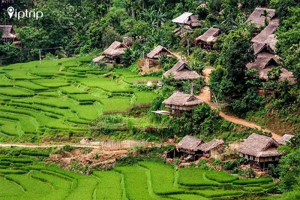 Bản Kho Mường Pù Luông