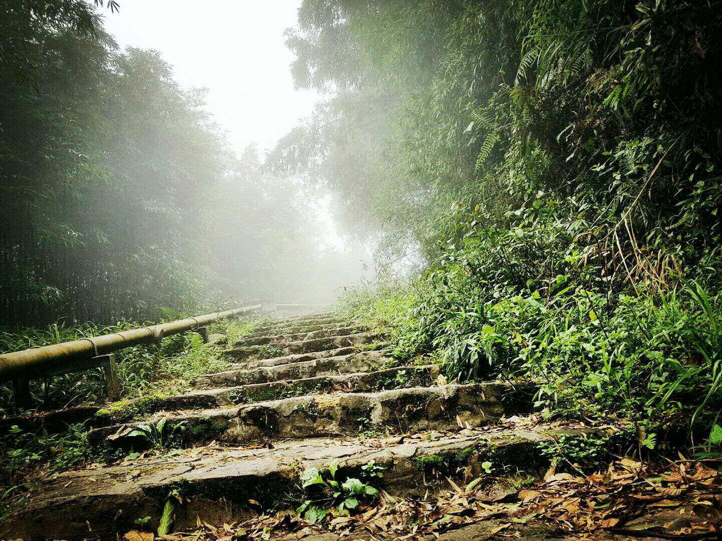 duong-len-thap-truyen-hinh-tam-dao-viptrip