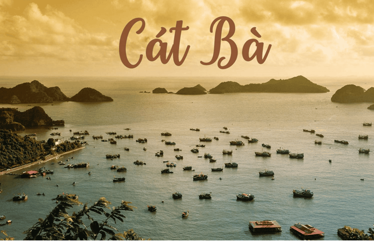 gia-ve-tham-quan-cat-ba