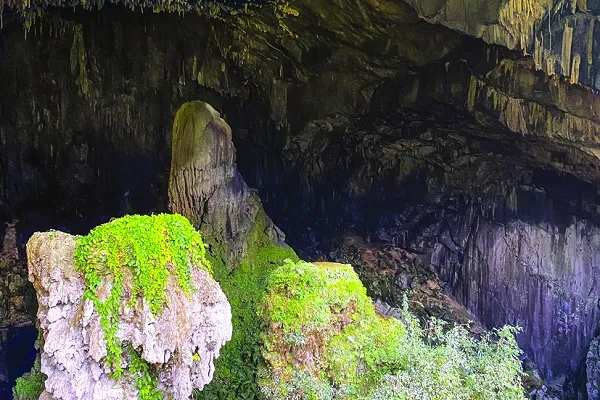 Hang dơi Pù Luông