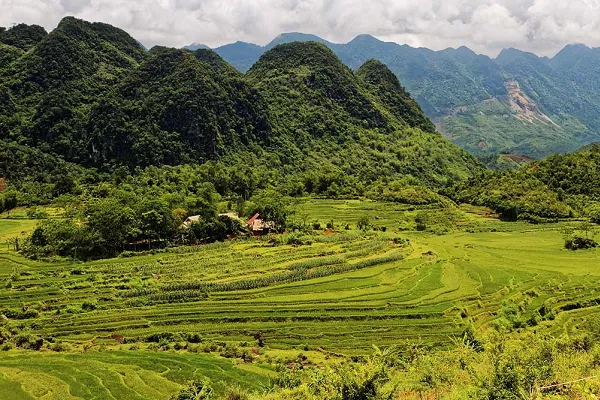 Khu bảo tồn Pù Luông