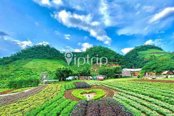 Khu du lịch Happy Land Mộc Châu