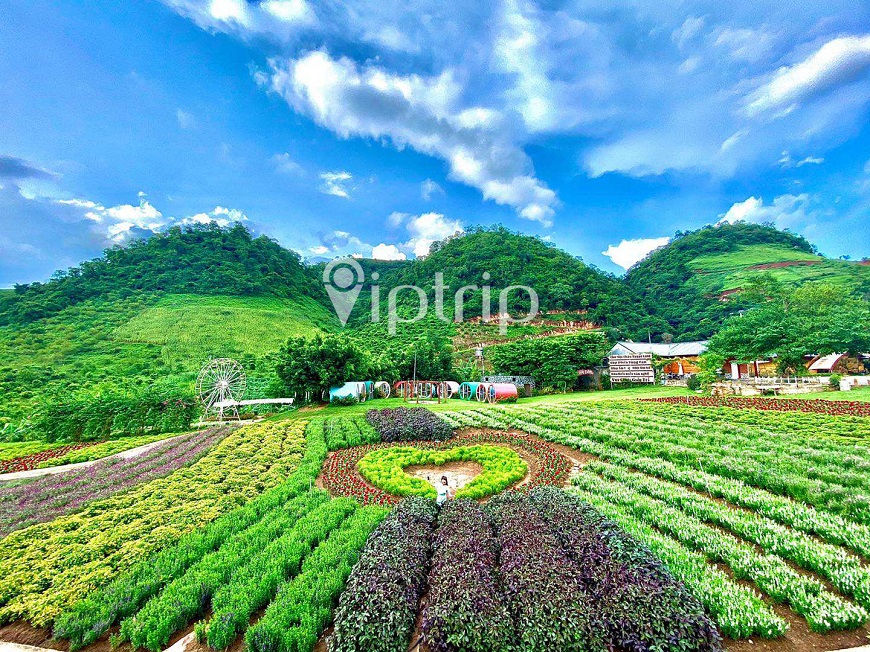 khu-du-lich-happy-land-moc-chau4