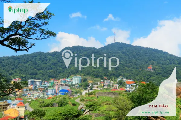 Khu du lịch Tam Đảo Vĩnh Phúc