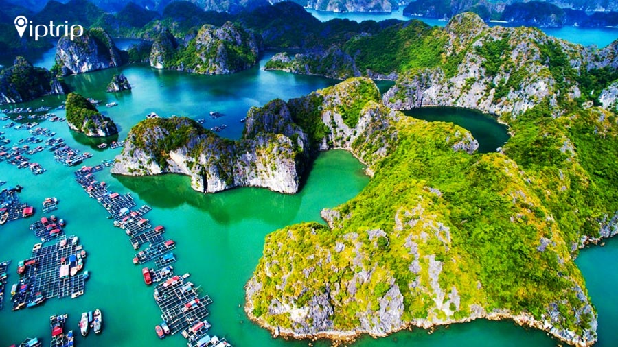 kinh-nghiem-du-lich-cat-ba