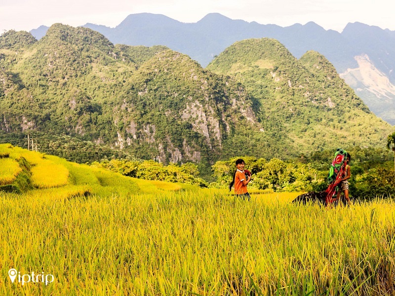 kinh-nghiem-du-lich-tai-mai-chau