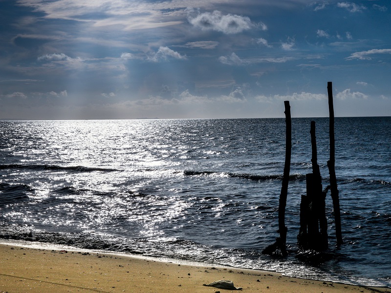 kinh-nghiem-du-lich-tra-co-2-ngay-1-dem