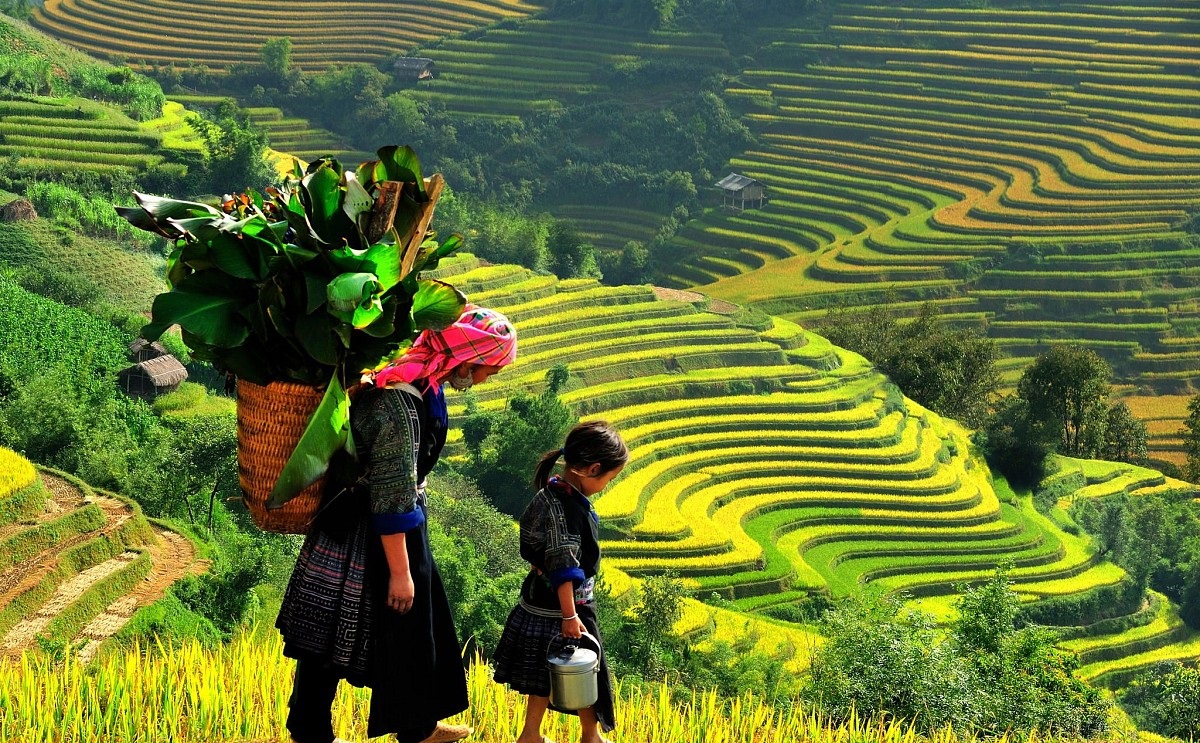 net-doc-dao-la-pan-tan