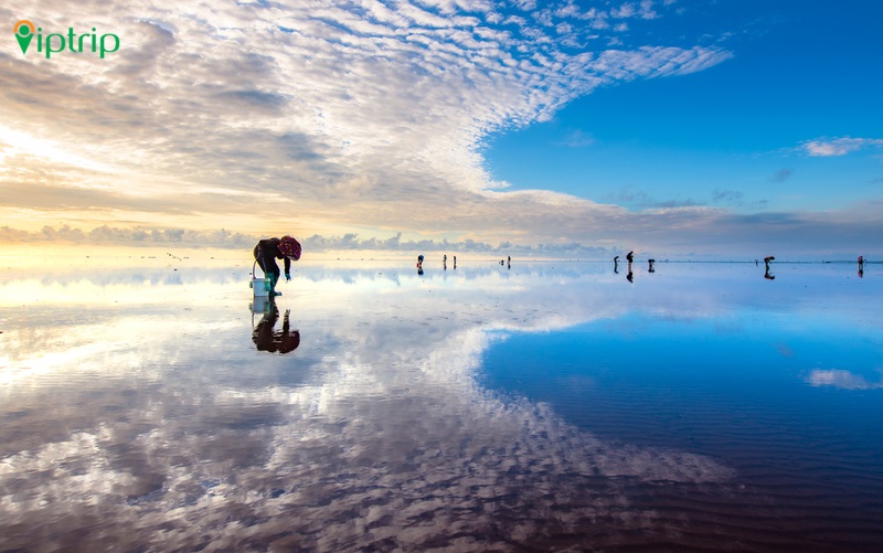 nguoi-dan-danh-bat-hai-san-bai-bien-vo-cuc-thai-binh