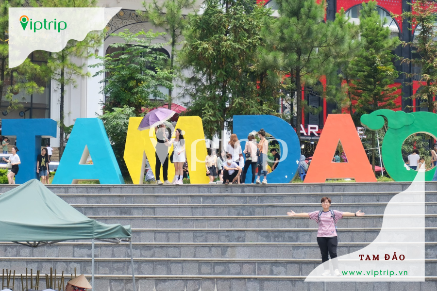 quang-truong-tam-dao-viptrip