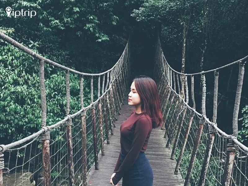 review-du-lich-tam-dao