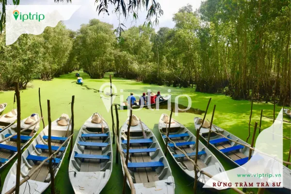 Rừng Tràm Trà Sư An Giang