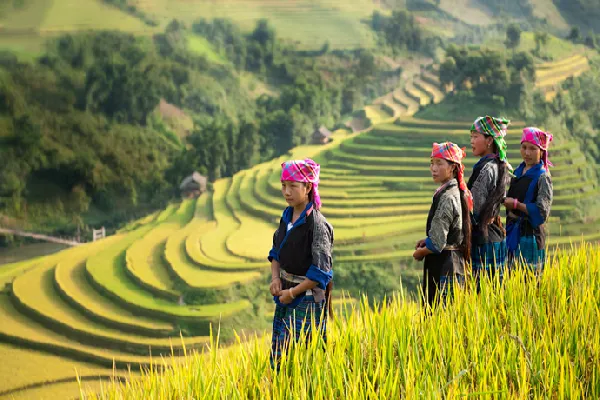 Ruộng bậc thang xã Chế Cu Nha