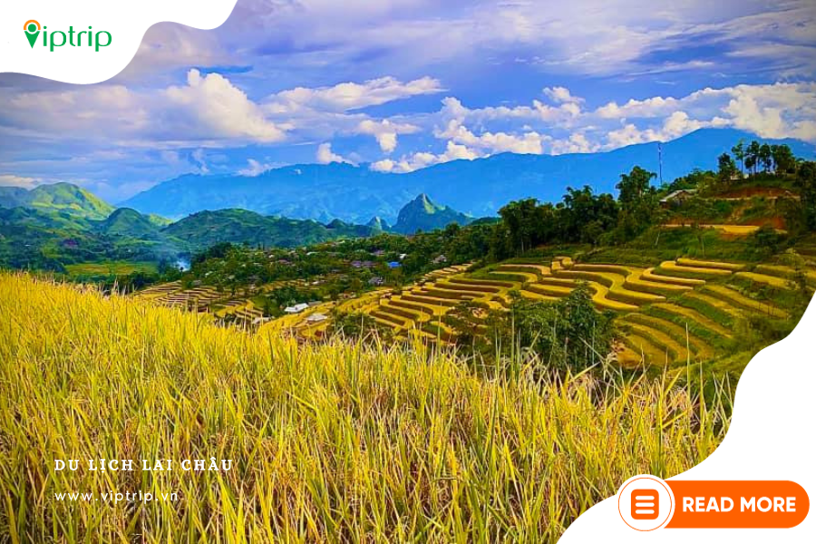 ruong-bac-thang-lai-chau