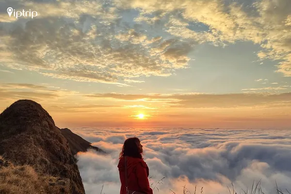 Kinh nghiệm săn mây Tà Xùa