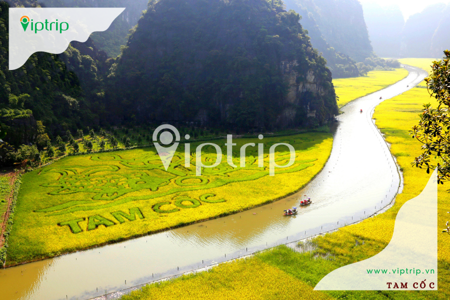 tam-coc-ninh-binh-viptrip