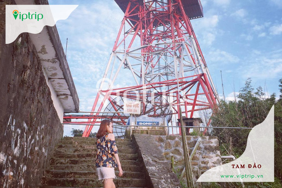 thap-truyen-hinh-tam-dao