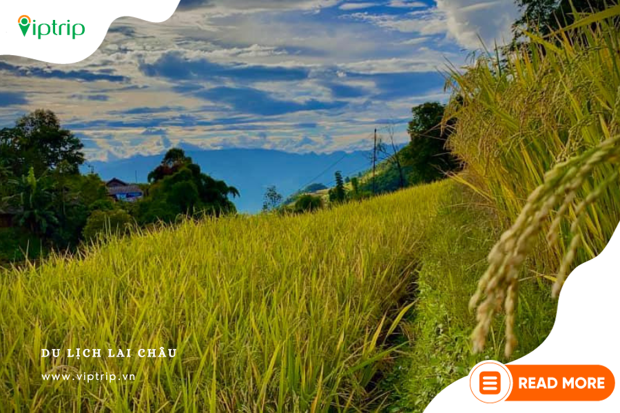 thong-tin-du-lich-lai-chau