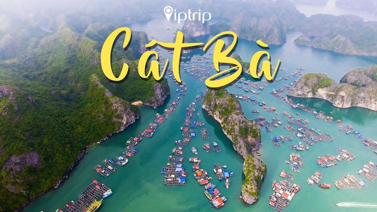 toan-canh-du-lich-cat-ba