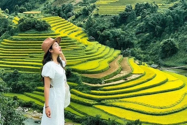 Mù Cang Chải Yên Bái