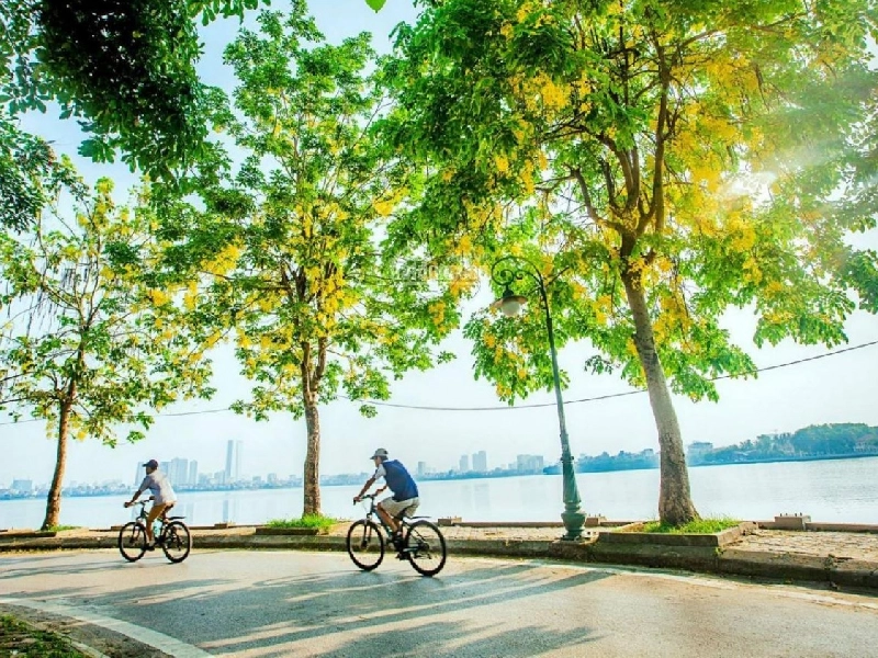 Deluxe moutain Family 2 king bed