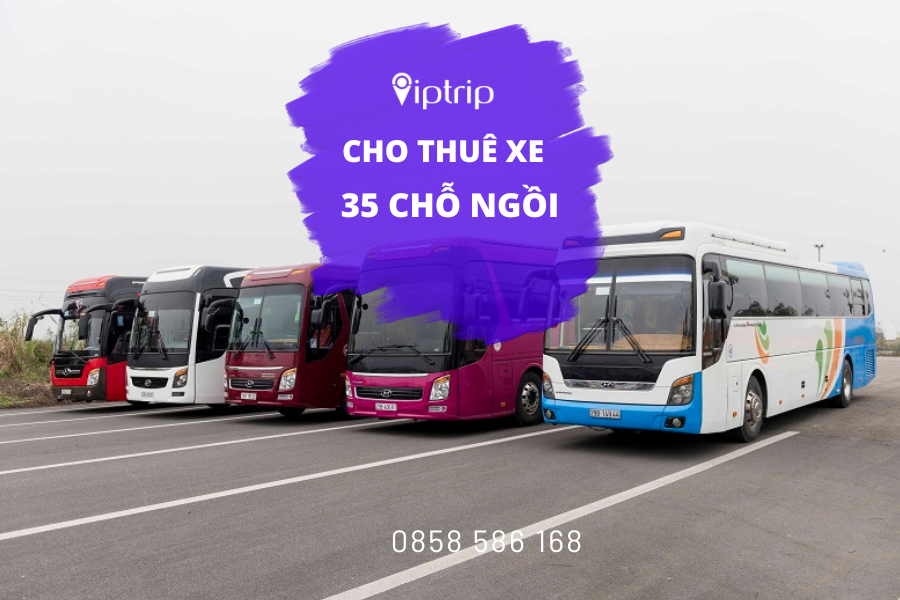 cho-thue-xe-35-cho-viptrip