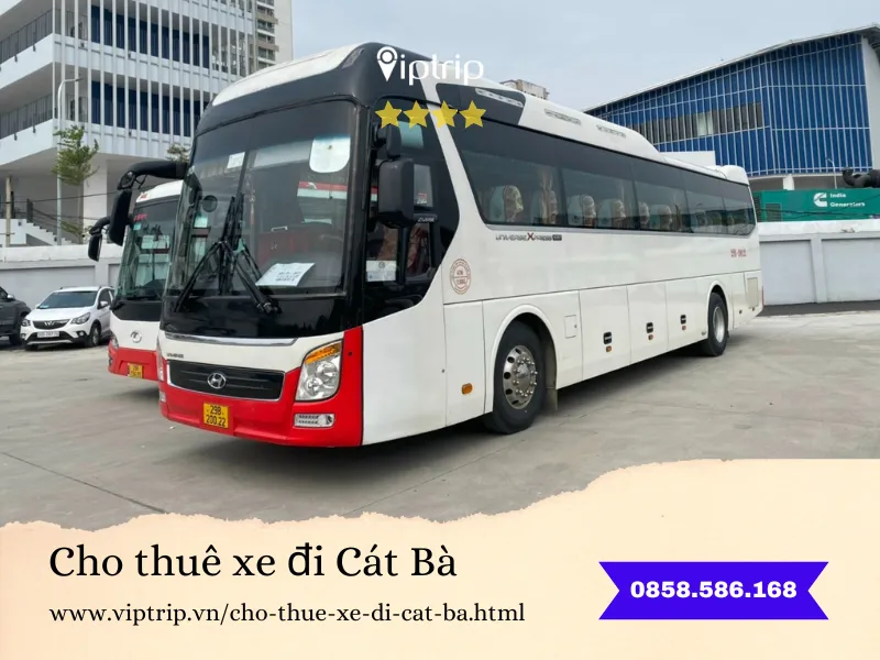 Cho thuê xe đi Cát Bà
