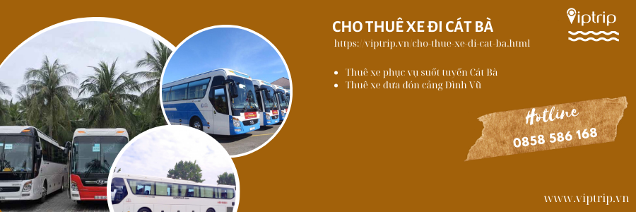 cho-thue-xe-di-cat-ba