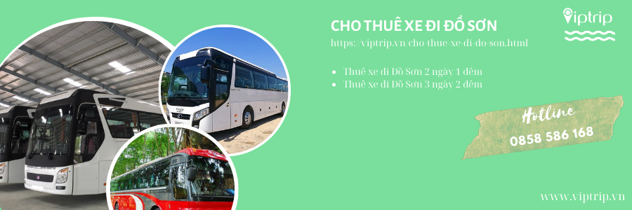 cho-thue-xe-di-do-son-viptrip