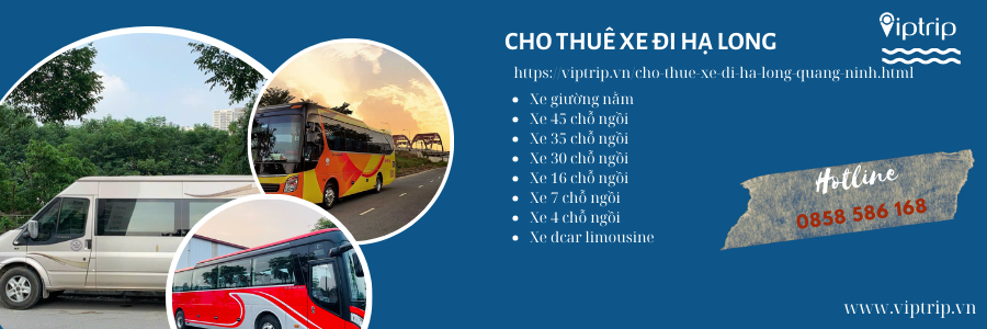 cho-thue-xe-di-ha-long-quang-ninh