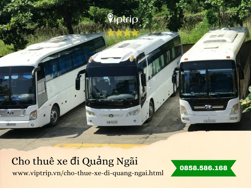Cho thuê xe du lịch đi Quảng Ngãi