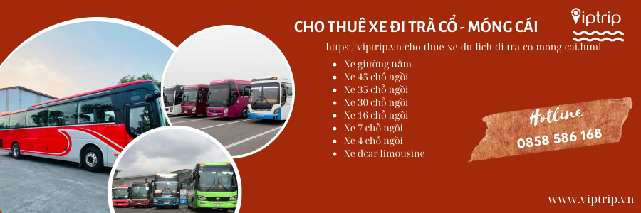 cho-thue-xe-di-tra-co-mong-cai