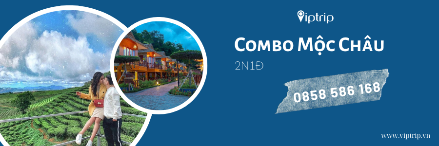 combo-moc-chau