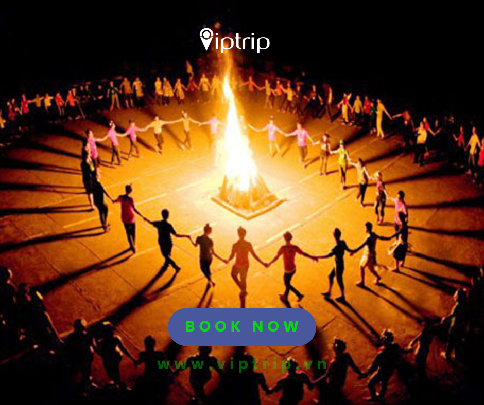 dich-vu-giao-luu-lua-trai