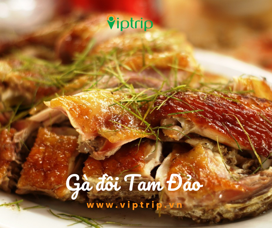 ga-doi-tam-dao