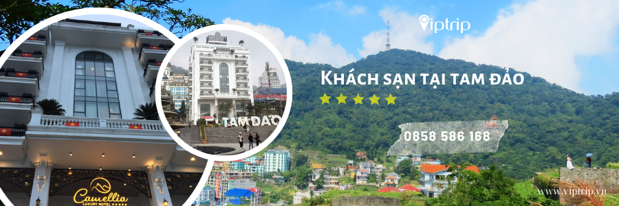 khach-san-5-sao-tam-dao