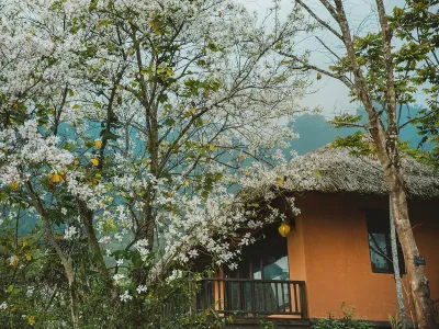 Avana retreat resort Mai Châu