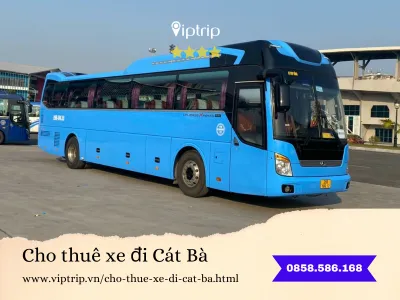 cho-thue-xe-di-cat-ba6