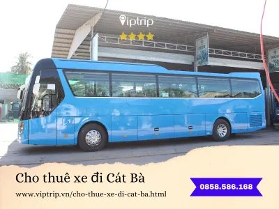 cho-thue-xe-di-cat-ba2