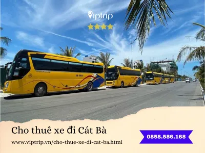 cho-thue-xe-di-cat-ba