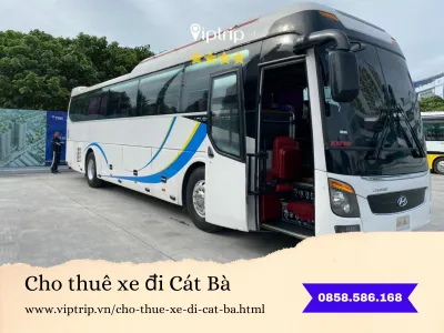 cho-thue-xe-di-cat-ba5