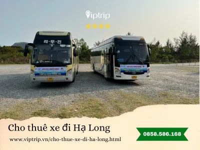 Cho thuê xe đi Hạ Long